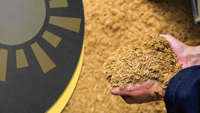 Arroz: Setor segue demandando atenção aos custos de produção e tributação, em especial o ICMS