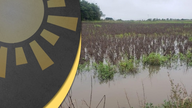 "Governo tomou medidas precipitadas", afirma senador Ireneu Orth sobre decisões em relação ao arroz; perdas continuam a ser avaliadas