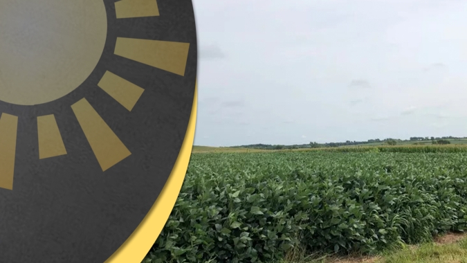 Novo relatório do USDA e safra 24/25 dos EUA em foco na CBOT