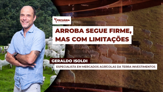 Tendência de alta da arroba está mantida, mas precisa de novidade para retomar fôlego