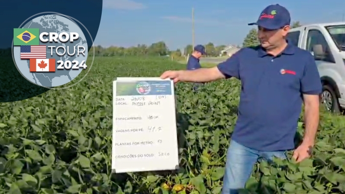 Lavouras de soja e milho em Ohio apresentam boas condições e devem garantir médias fortes de produtividade