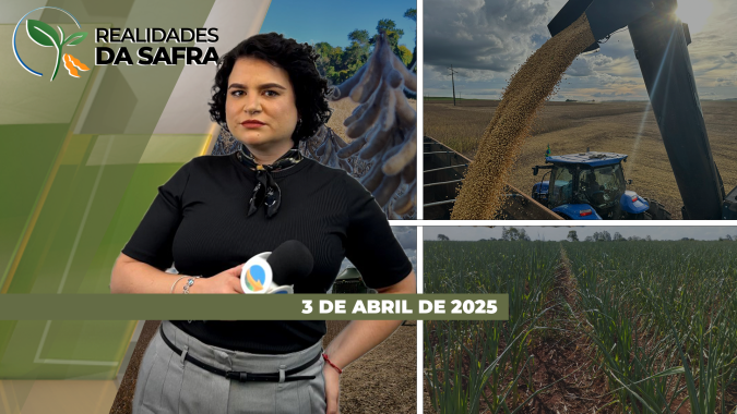 Realidades da Safra 03/04/2025 - Algodão sequeiro em MG sofreu com veranico; lavouras de soja em Dom Pedrito (RS) irregulares; colheita da soja avança em São José (PA)