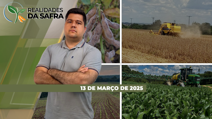 Colheita da soja vai apresentando perdas no Mato Grosso, São Paulo e Mato Grosso do Sul