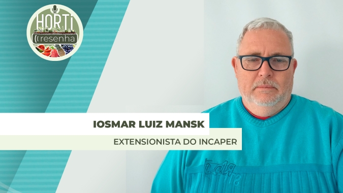 HORTI RESENHA #104 - Produção de pimentão no Espírito Santo cresceu 32% em 2024