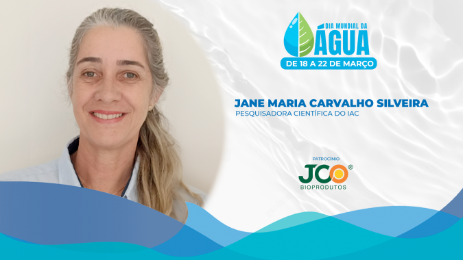 Pesquisadora do IAC lembra que Brasil tem 8% de área irrigada e potencial de ampliar para 20%, reduzindo risco da produção e ampliando oferta de alimentos