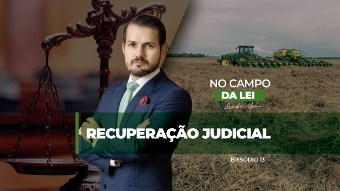Recuperação judicial do produtor rural cresce 80% em 2024