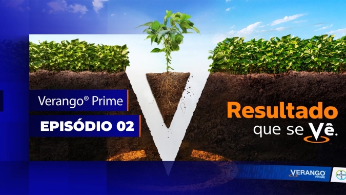 Episódio 2 - A combinação de químicos e biológicos no controle de nematoides