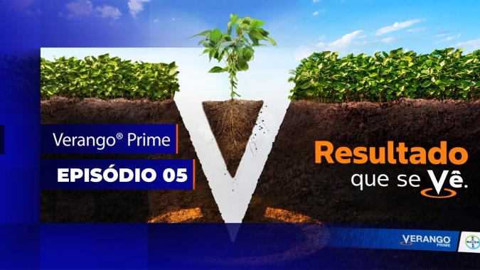 Bayer Verango - Episódio 5: Resultados de campo: números que falam mais alto