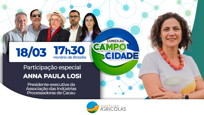 Preço do cacau bate recordes com demanda maior que oferta e agricultura brasileira precisa aproveitar este momento