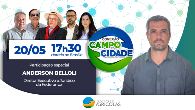 Importação de arroz pelo governo é uma atitudade totalmente errada, afirma economista