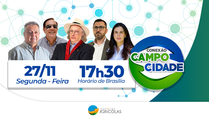 Inteligência Artificial é capaz de simular preço da soja para os próximo 12 meses com 90% de precisão