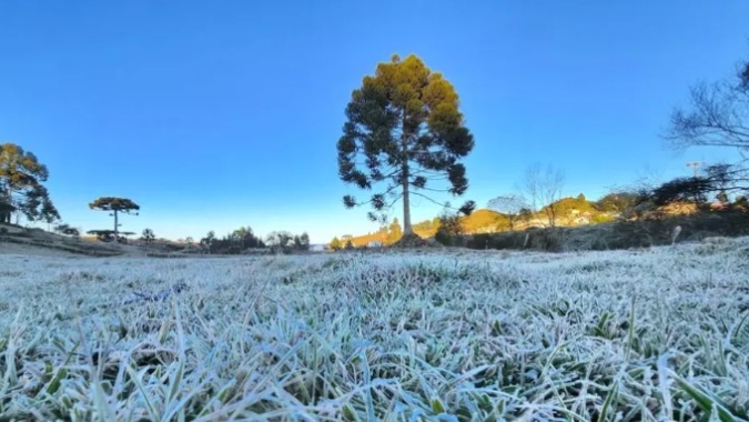Temporais dão lugar à geada no Sul e produtores entram em alerta para frio intenso nos próximos dias