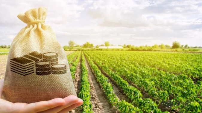 O campo evoluiu mais rápido do que o sistema de crédito brasileiro