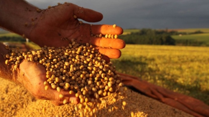 Plano Safra ignora realidade do campo e amplia preocupação com o futuro da produção