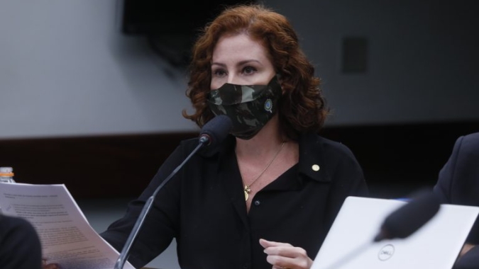 Comissão aprova projeto que prevê uso de fundo ambiental para ações de extrativismo sustentável