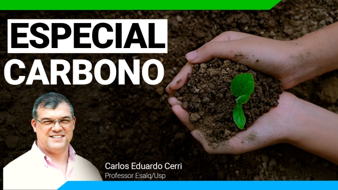 A agropecuária brasileira , a emissão de gases do efeito estufa e a capacidade do setor para estocar carbono; como fazer essa conta