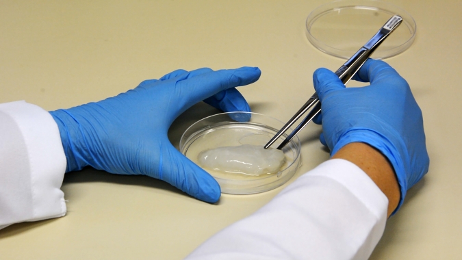 Carne cultivada em laboratório liberada para consumo humano pelo regulador dos EUA