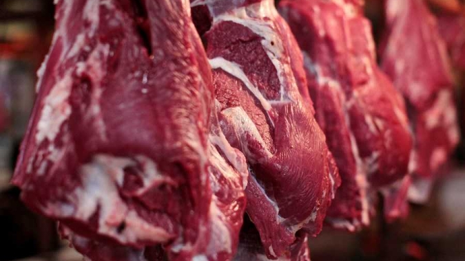 Exportações de carne bovina batem recorde no primeiro semestre, mas barreiras comerciais desafiam desempenho da segunda metade do ano