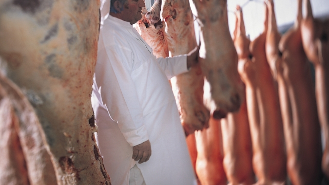 Exportações de carne suína fecham 2025 com crescimento de 11,6%