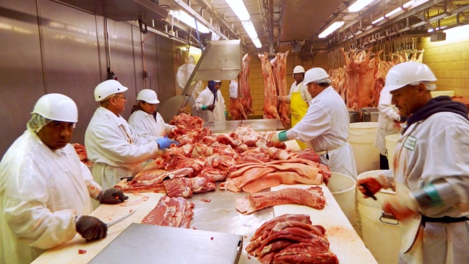 Terça-feira (28) termina com queda no preço da carcaça suína no mercado paulista