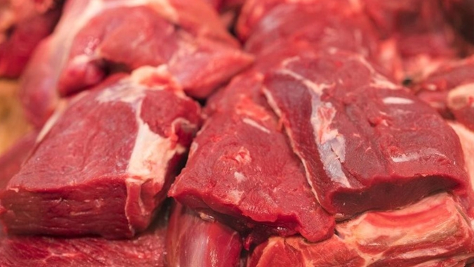 DATAGRO: Impactos da tarifa de 50% dos EUA sobre o Brasil no mercado da carne bovina