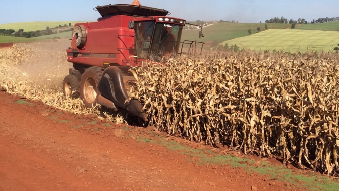 Ainda lenta, colheita do milho vai à 4% no Mato Grosso do Sul com maior parte das lavouras em boas condições