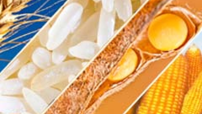 Comissões apresentam pesquisa sobre rastreabilidade de produtos vegetais