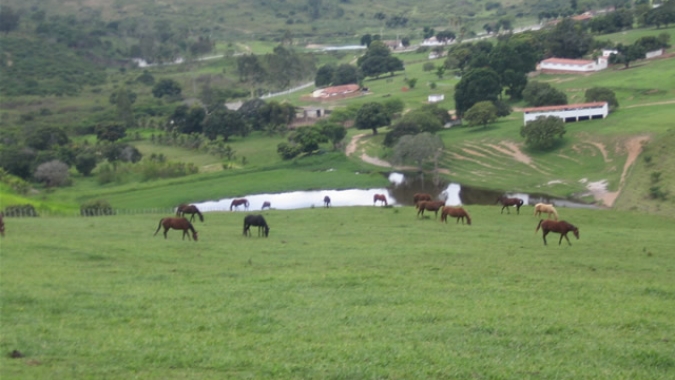 Agricultores colocam planos e investimentos em espera sob congelamento de gastos do USDA de Trump