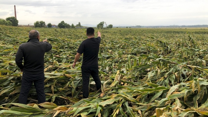 China inicia colheita de safra de grãos comprometida e mercado já reflete maior necessidade de importações