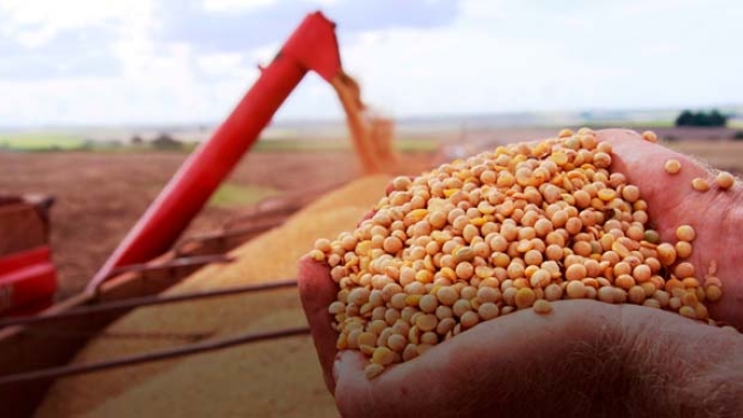 Em Goiás, produção de grãos na safra 2020/2021 deve representar mais de 10% do total nacional