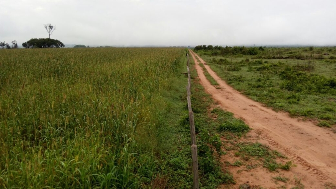 Mapa reúne gestores estaduais para definir estratégias para recuperação de áreas degradadas