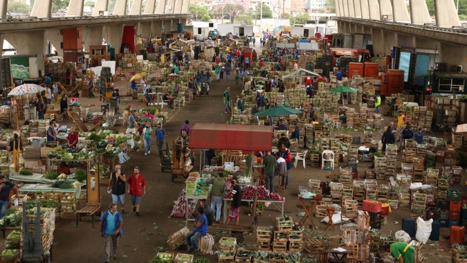 Cotada a R$ 4,10/kg, vagem macarrão é o destaque da semana (29/09 a 03/10) no atacado da CEAGESP