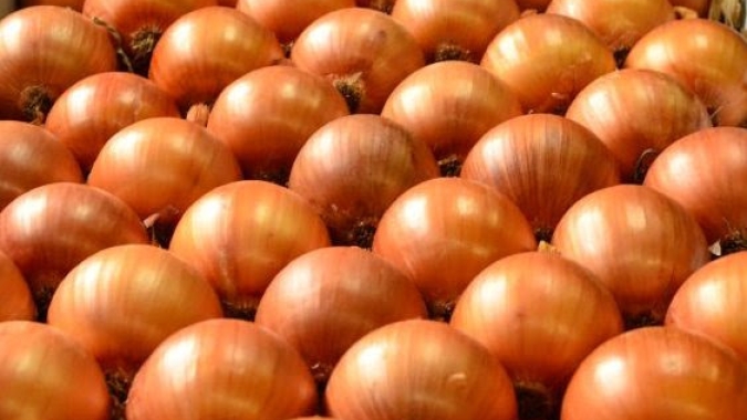Cebola/Cepea: Preço sobe no Sul e impulsiona valores no Nordeste