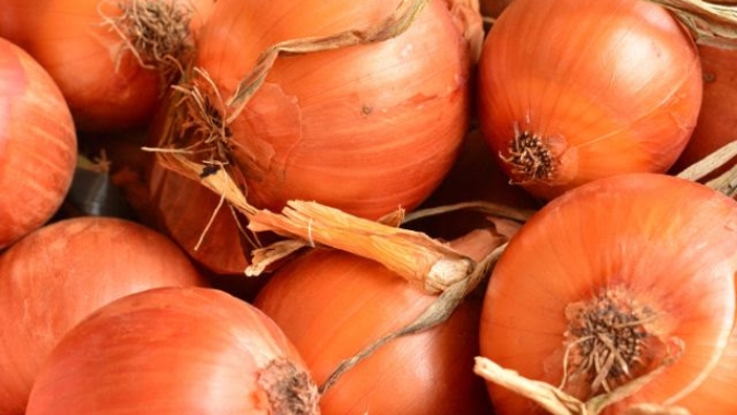 Epagri/Cepa atualiza estimativas da safra de inverno e mostra aumento na área plantada de cebola e diminuição na de trigo e de alho