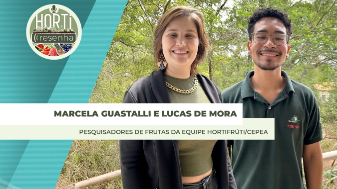 HORTI RESENHA #81 - Em 2024 frutas tiveram impacto do clima, que limitou produção e trouxe preços altos