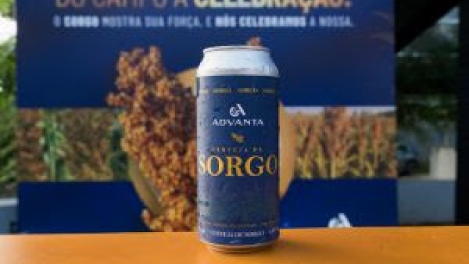 Sorgo avança no segmento de bebidas e revela potencial para cerveja sem glúten