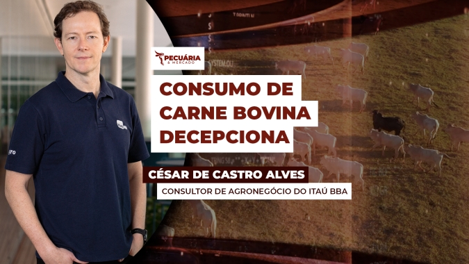Sem apoio da demanda interna e com frigoríficos abastecidos, cotações da arroba do boi seguem pressionadas