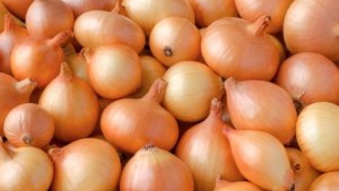 Cebola e mamão apresentam queda de preços no primeiro Boletim Prohort