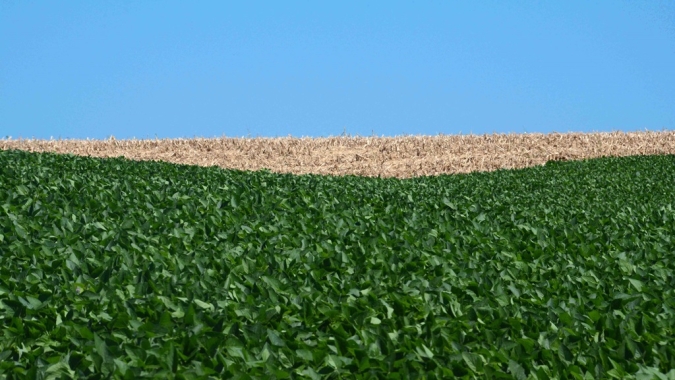 Agricultura brasileira é modelo de desenvolvimento para outros países da faixa tropical do globo
