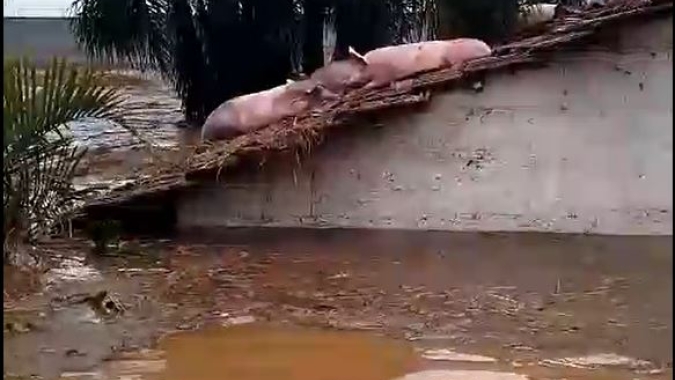 Municípios do Vale do Taquari, no RS, estão entre os mais afetados pela passagem do ciclone