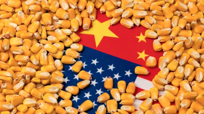 China compra mais de 1 mi de t de milho dos EUA, buscando garantir ofertas com dificuldades na própria safra