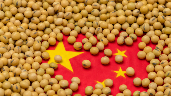 USDA informa nova venda de soja dos EUA à China nesta 4ª e demanda é acompanhada de perto