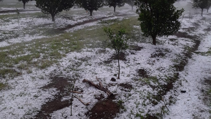 Forte chuva de granizo atinge municípios produtores de café e laranja no Sul de MG; veja vídeos