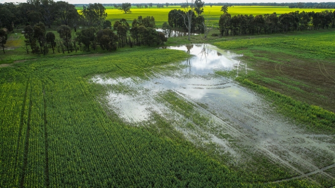 Após temporais, Sul ganha trégua, mas produtor ainda monitora impactos no campo