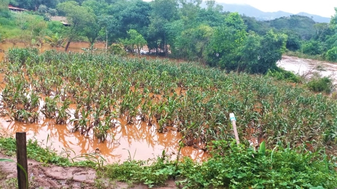 Chuvas: 119 mil hectares de lavouras foram perdidos em Minas Gerais, aponta levantamento da Emater-MG