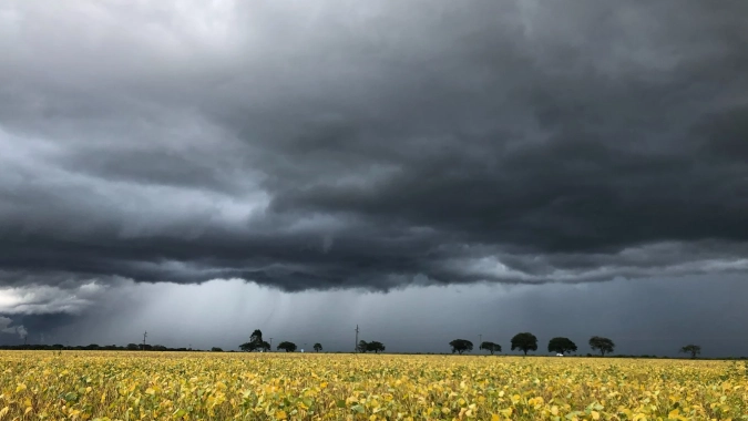 Agosto promete mais chuva no Sul e exige atenção do produtor rural