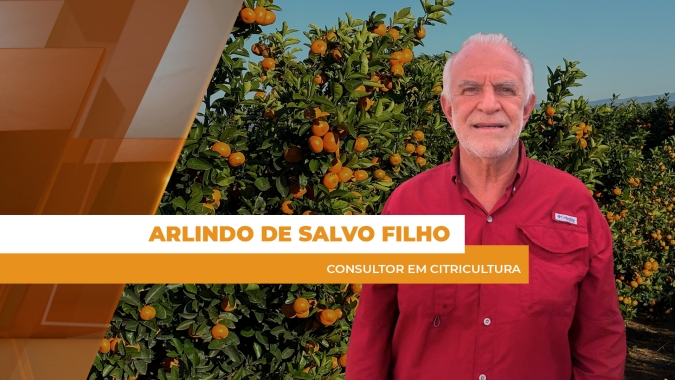 Greening e clima prejudicaram significativamente a produtividade da safra 25/26 de laranja