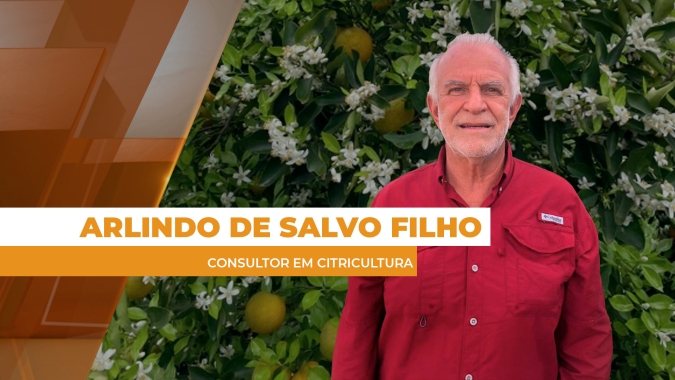 Com pouca oferta e frutos de baixa qualidade, preços dos citros devem ficar estáveis em maio