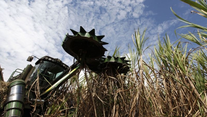 Safra 22/23 de cana começa atrasada, mas expectativa é de recuperação na produção