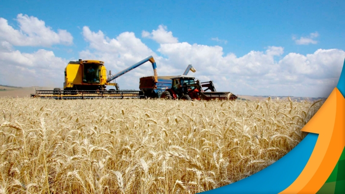 Castro/PR planta a soja esperando boa produtividade e finaliza colheita de trigo com queda de qualidade dos grãos